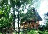 Best of Mysore - Wayanad Bamboo tree house